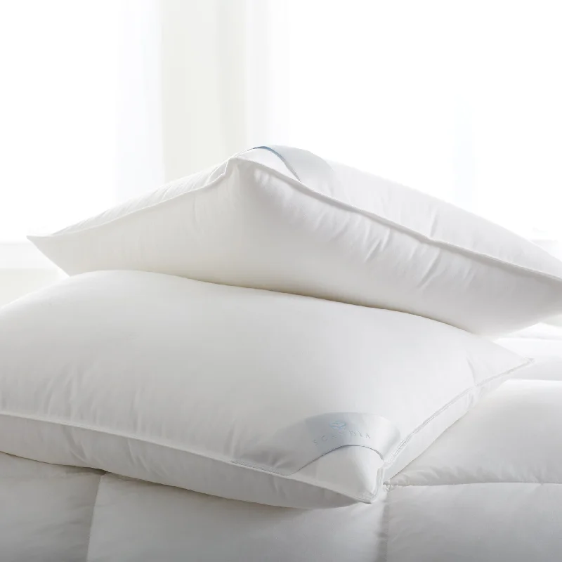 Your Perfect Deal Is Just A Click Away Bergen Down-Free Pillow