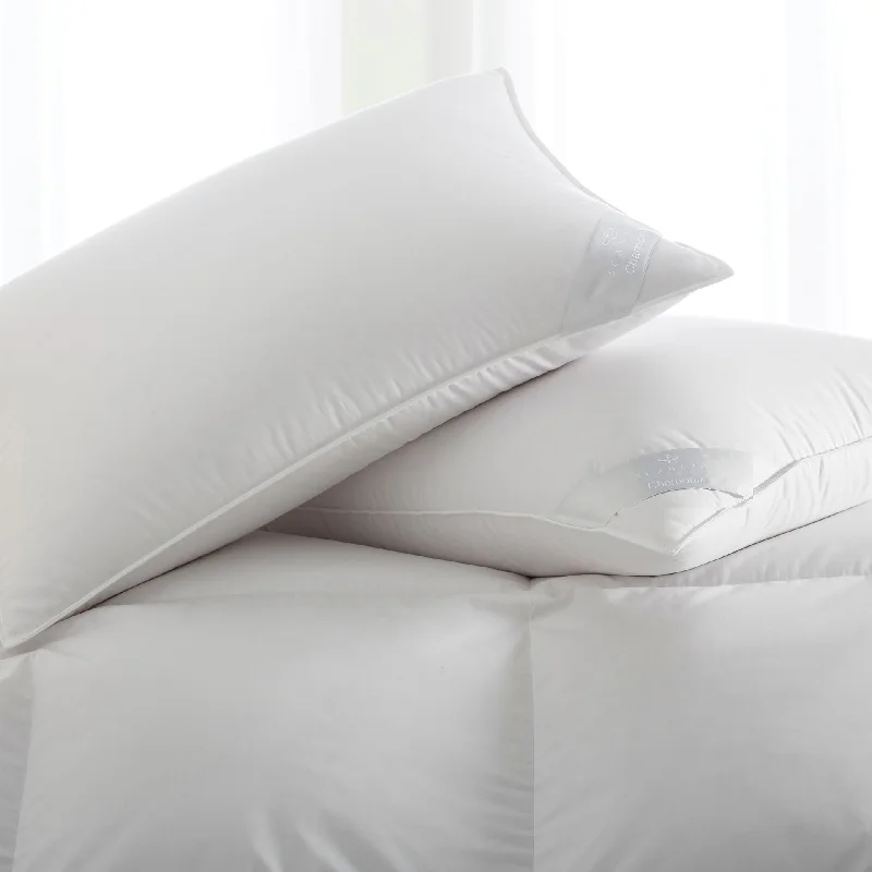 The Perfect Time To Shop And Save Chamonix Down Pillow