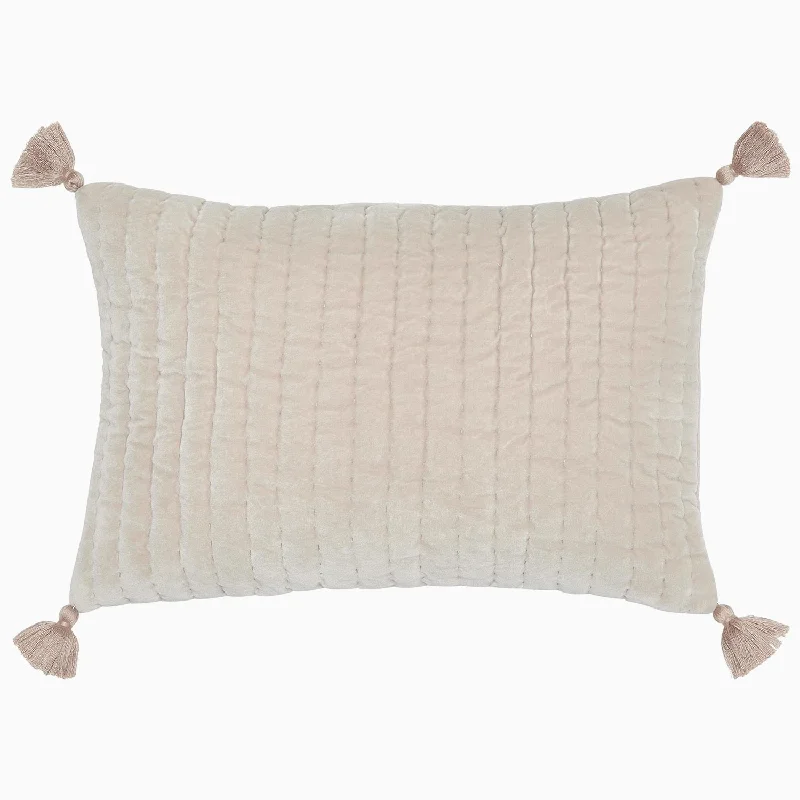 Take Advantage Velvet Sand Kidney Pillow